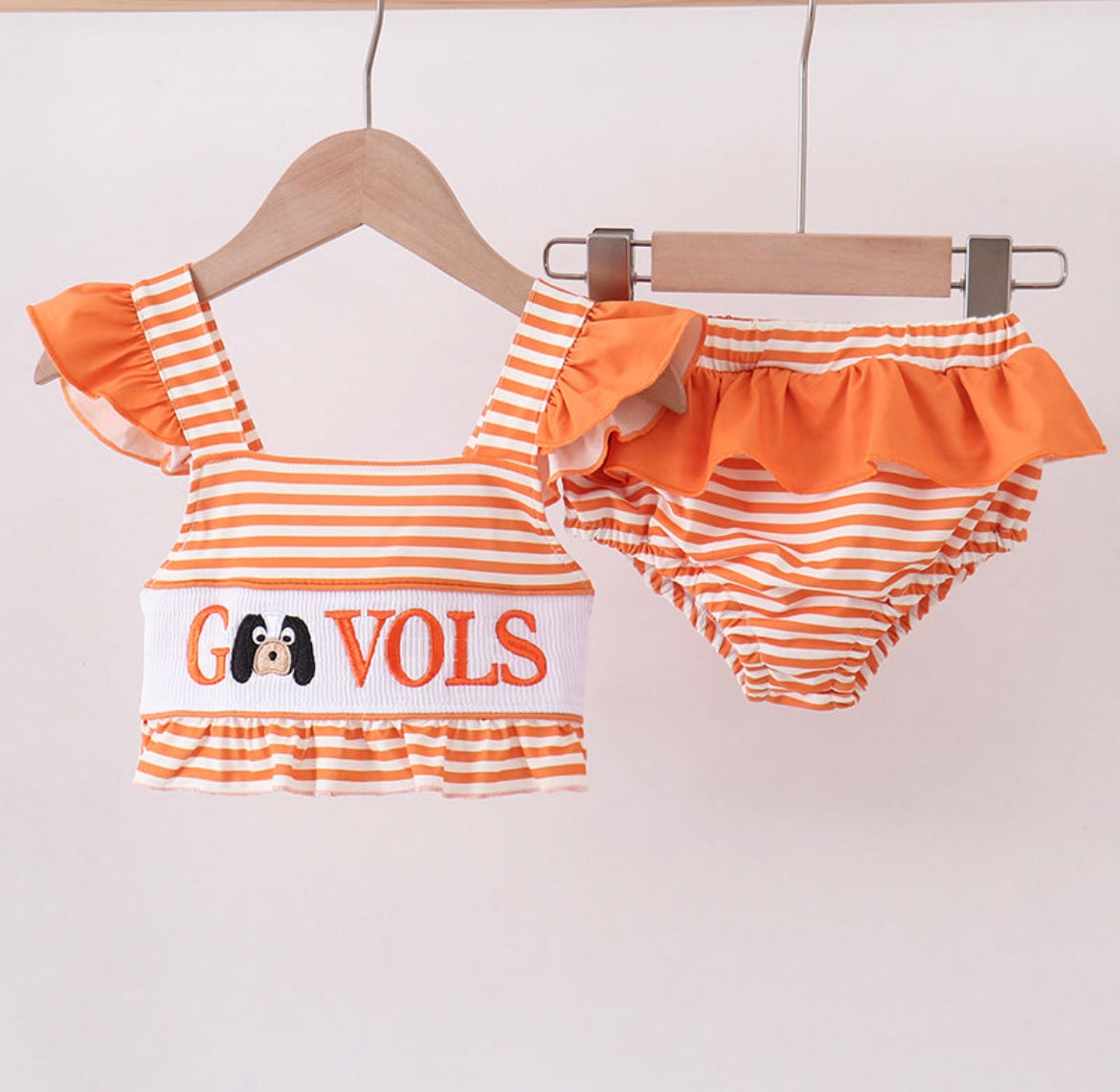 GO VOLS collection