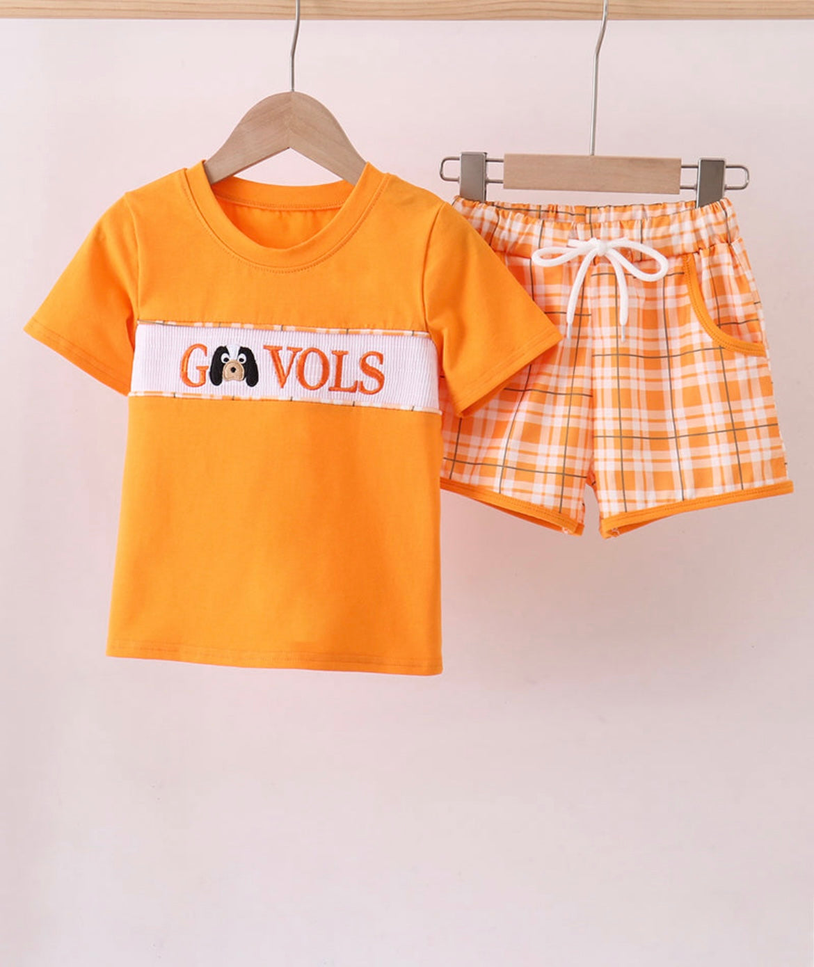 GO VOLS collection